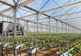 Agri-th-108 : ce que le projet de révision changerait pour les serres